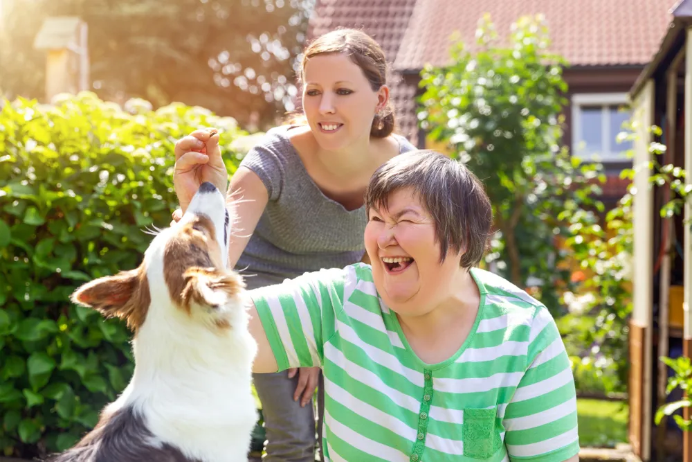 Animal-assisted-therapy